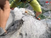 GOPR7695-0002 GOPR7695-0002