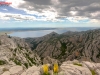 IMG-20250530-WA0018