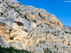 DSC07736 DSC07736