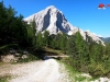 bergtraum-coach-crack bergtraum-coach-crack