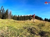 bergtraum-kesseleck-0012