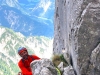image1 image1