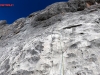 hochkoenig-sonnenkoenig-0002