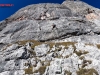 hochkoenig-sonnenkoenig1