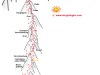 stuedlgrat-grossglockner-klettern-topo stuedlgrat-grossglockner-klettern-topo