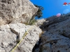 bergtraum-Sucepe-0009