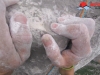 GOPR1570-0001 GOPR1570-0001